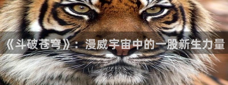 包子漫画软件下载新版本