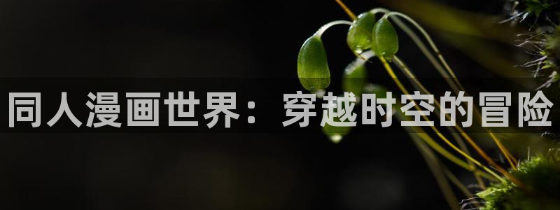 恶人想要抢救一下免费包子漫画：同人漫画世界：穿越时空的冒险