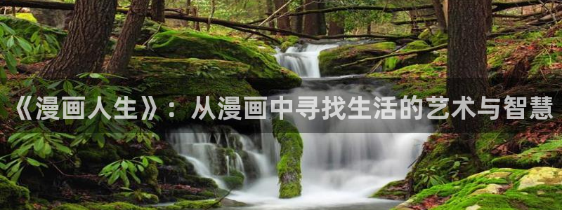 包子漫画官方页面入口