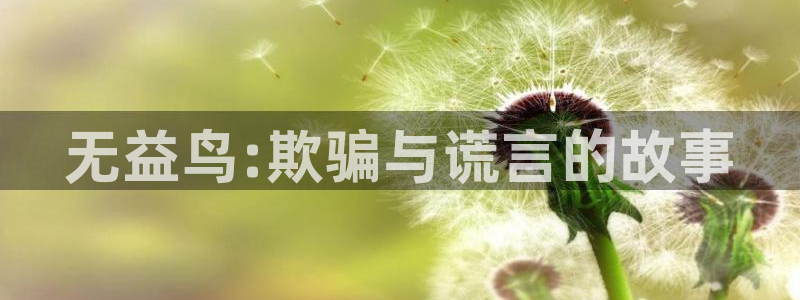 我亲爱的法医小姐漫画免费观看包子漫画：无益鸟:欺骗与谎言的故事
